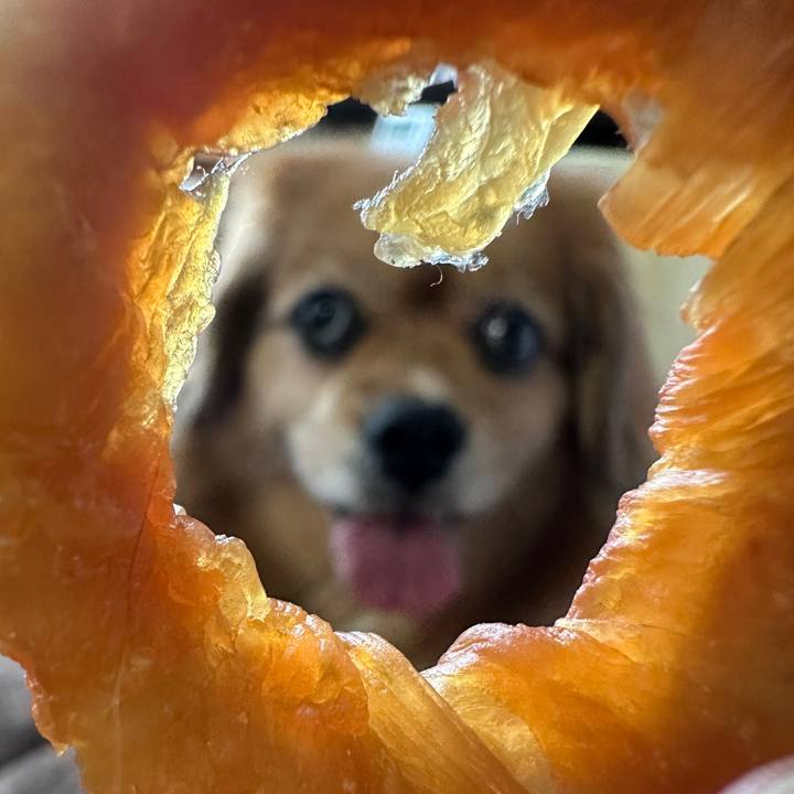 D99bc545 c3ce 46ce 8392 a6bd5ec82fcd 1748041122141