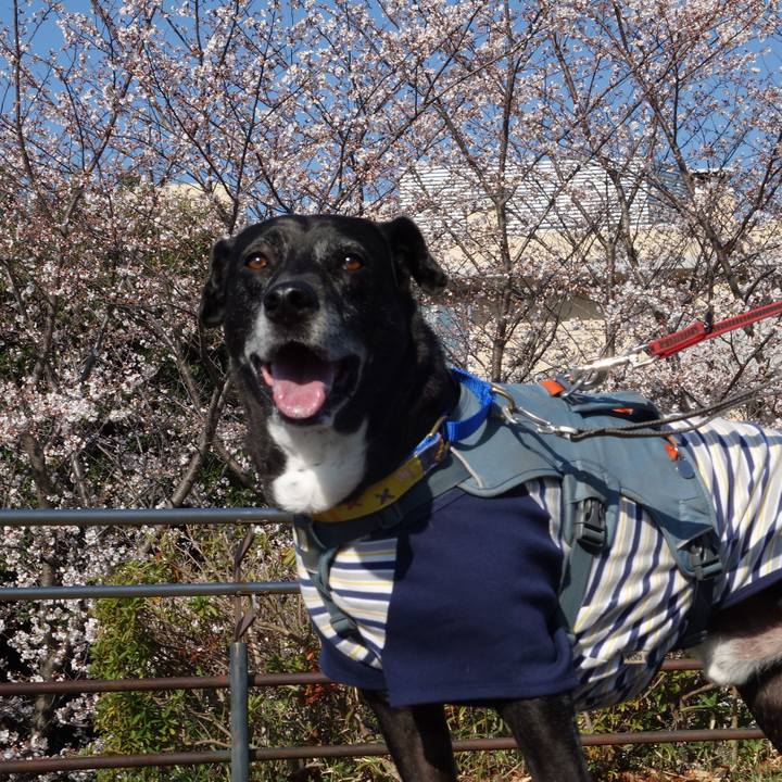 D99bf4b3 f121 4b6d 9a41 baa10e8a70be 1743731467853