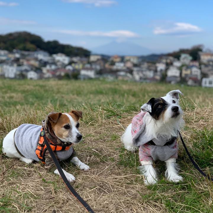 D99bf6e2 abae 4274 8132 8b55fa89f488 1636855517345