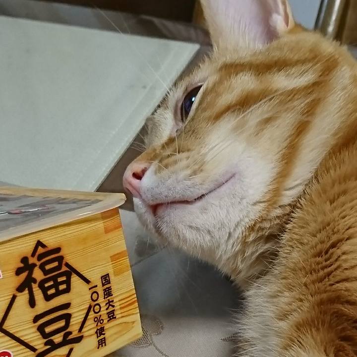 D99bff09 688b 4aeb 8fe8 3ae99e1e2bf1 1517666941616