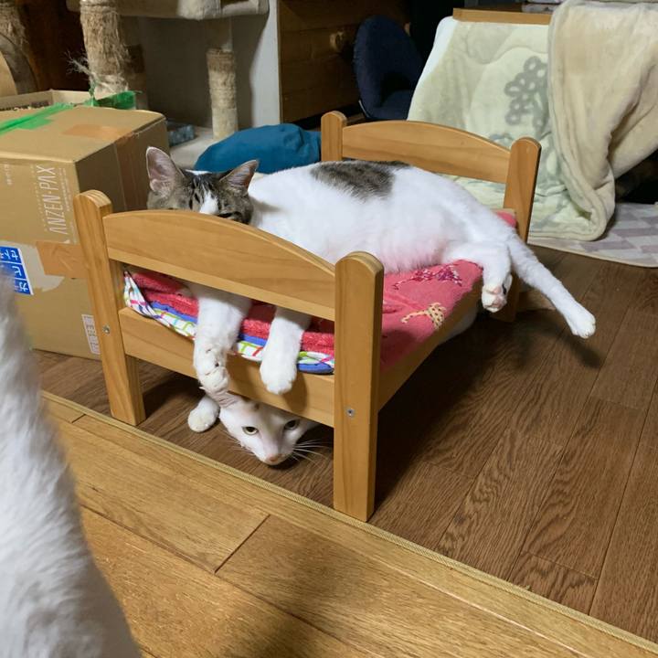 D99c23f4 5ac4 46ad 820d db85f05f5a17 1607777924217