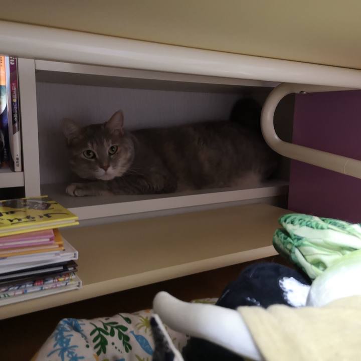 D99c6990 427f 4714 a18e 9b3e023ba0bb 1595994069211