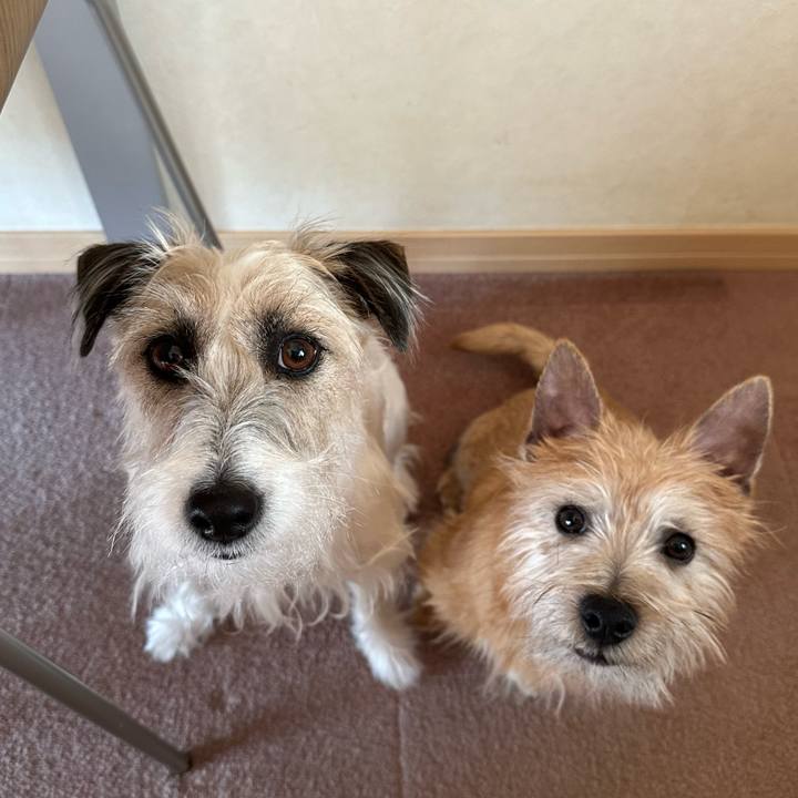 D99c8c04 9afc 4a28 9a7e 61db9bea33f5 1706711141806