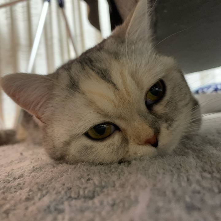 D99c9c4c e3e5 45ed 9489 bcaf262686fd 1706517157005