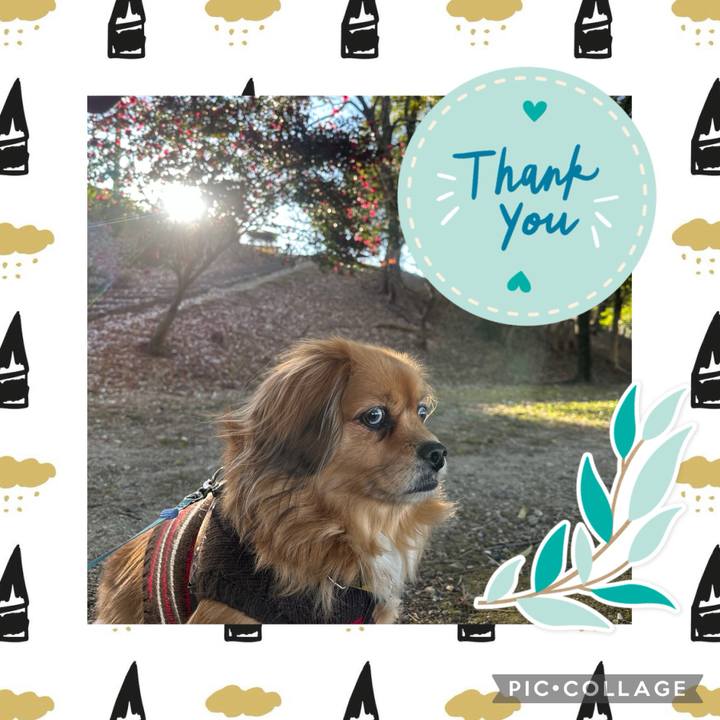 D99d3086 395a 43c3 a5f2 5e3c7df3b02a 1704007007425