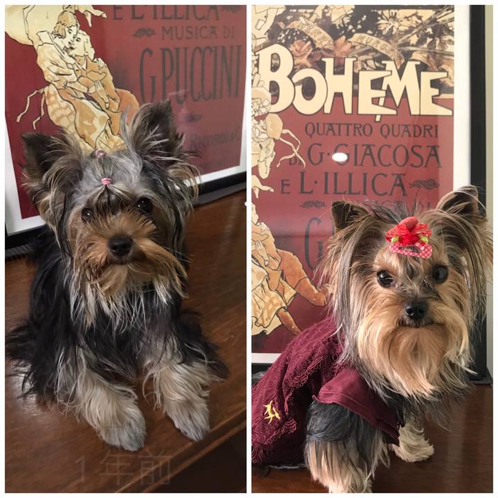 D99d44d9 2907 4447 aa6c f7eb23bbde3f 1663296921038