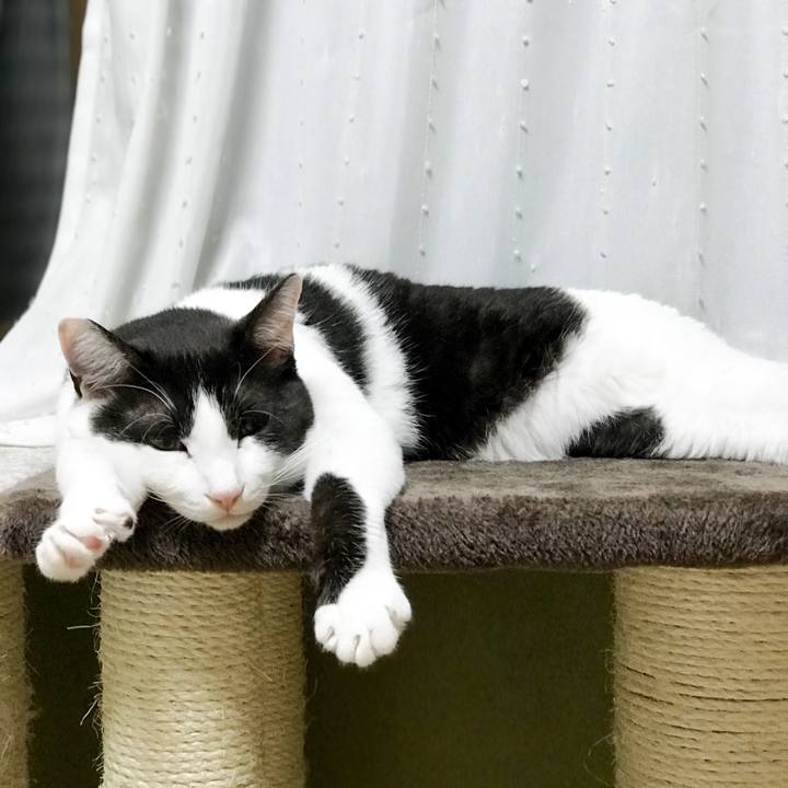 D99d4c47 c8c0 4698 852b 01f98125d6e1 1526652938053