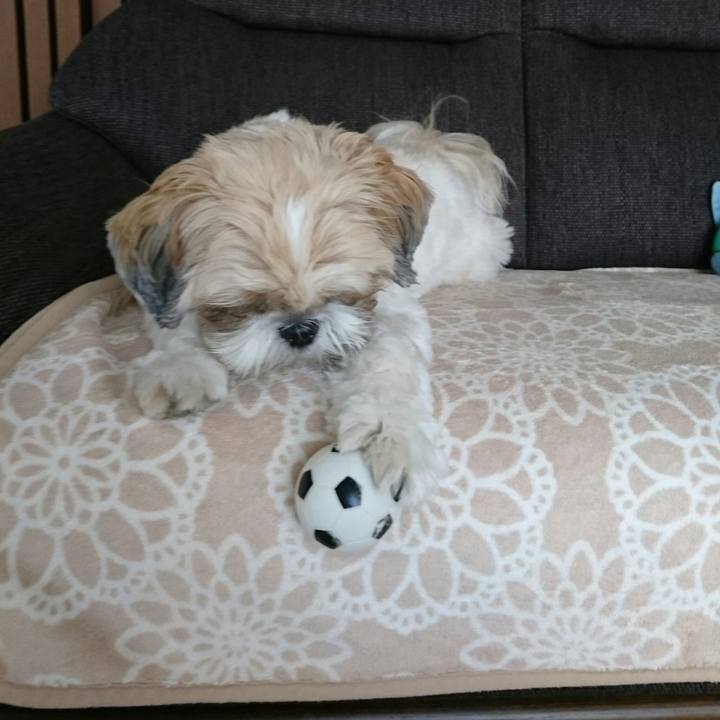 D99da023 966b 4883 946b 03f95336459e 1537227152527