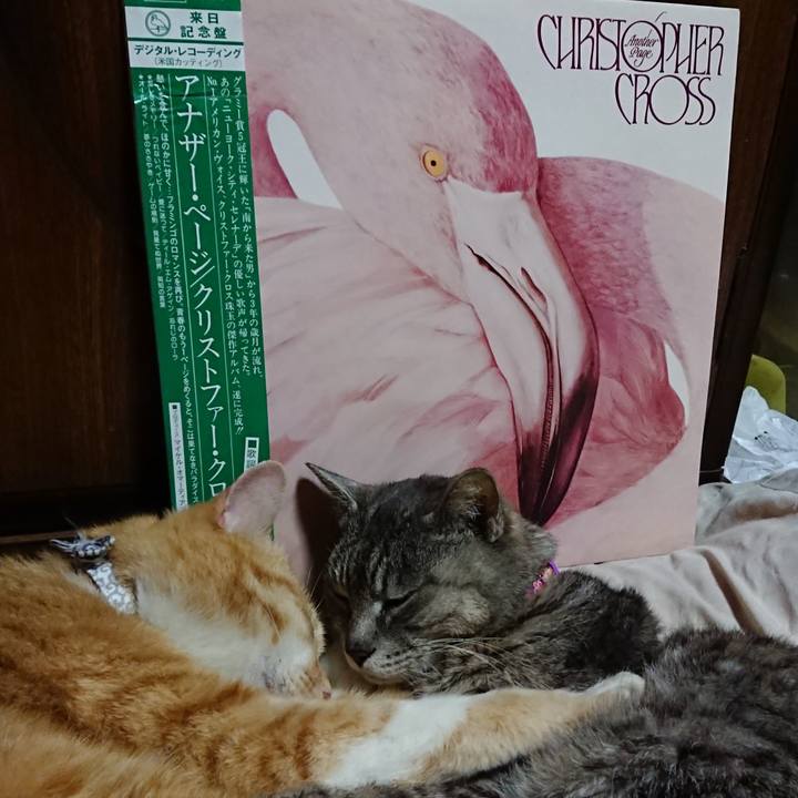 D99db7b4 20d3 40a8 b739 3e595b678881 1587388000736