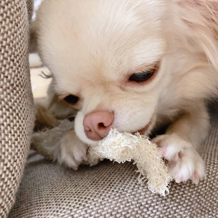 D99dda98 b9dd 4515 ab35 05bbf7a3efce 1615814276496