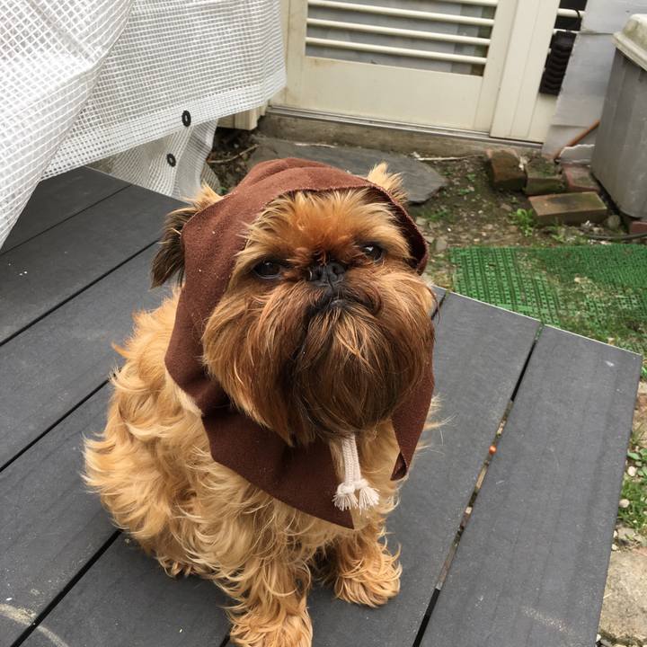 D99df955 043d 4a04 b68a ad674bc4a75d 1524454781645