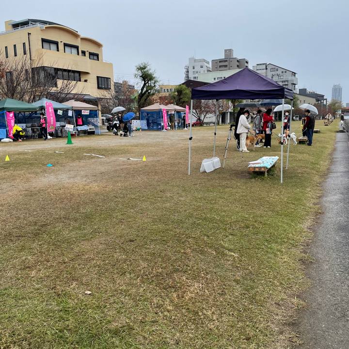 D99e320a 4c5d 48aa b698 ec7163717a71 1670151425097