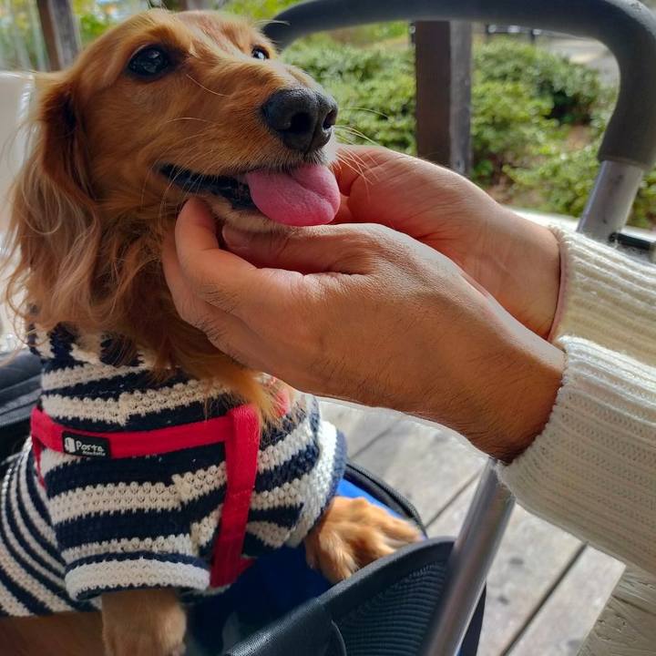 D99e3687 a8c2 4bcb 8b65 16f4109913d5 1635945235552