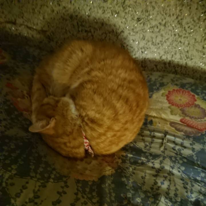 D99ea09d 92be 4a7f b4b8 a1de2eae91e4 1601985233536