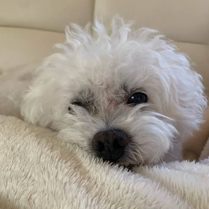 D99ea38b 3132 42b7 aa89 bc746599ccc2 1700090110759