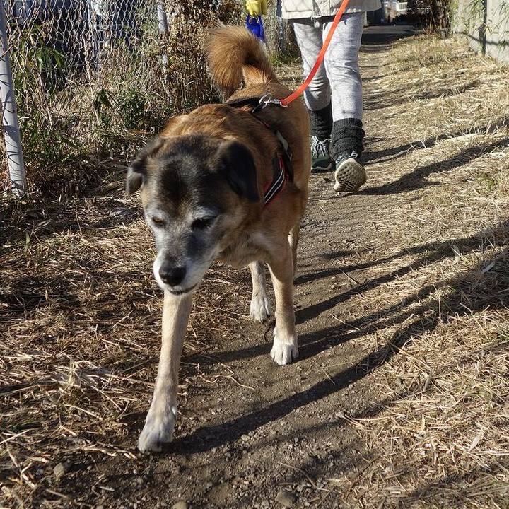 D99eabe5 643e 424d b926 3a3de45822ab 1514942636951