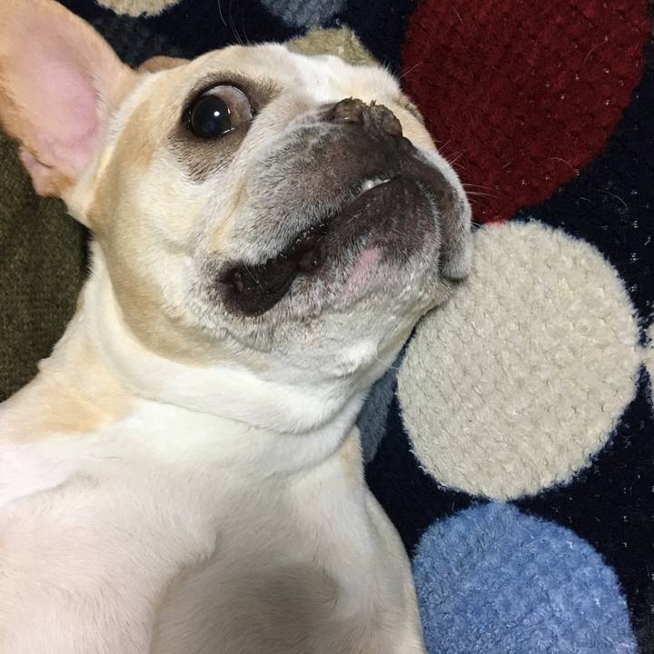 D99ead4b 9ec7 4bf9 a783 3cfe25ed7dc3 1528545961251