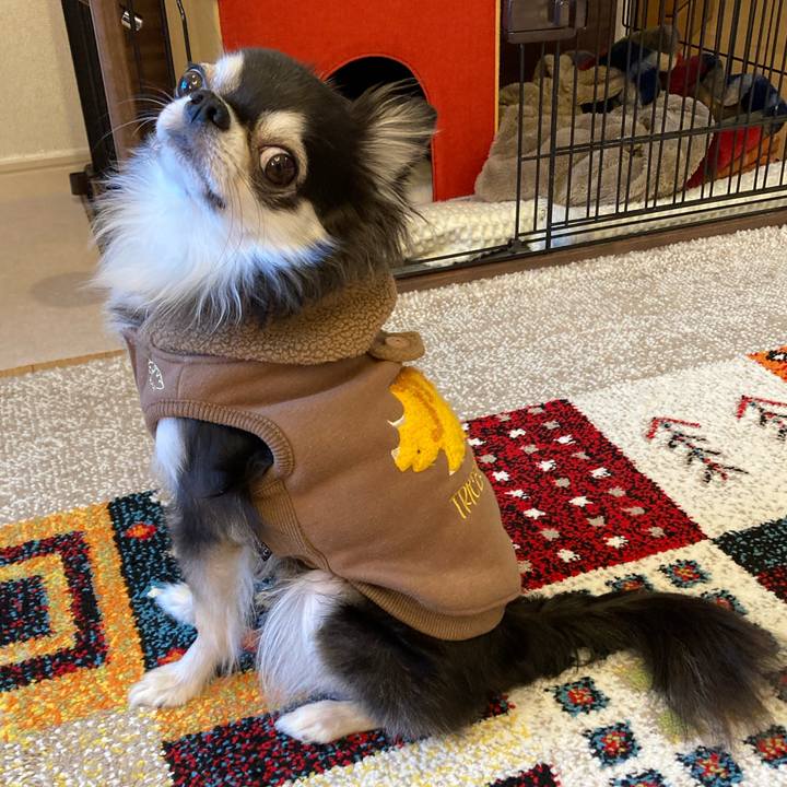 D99f037b 7135 44f1 910c 1a3e5ab3191b 1706343703974