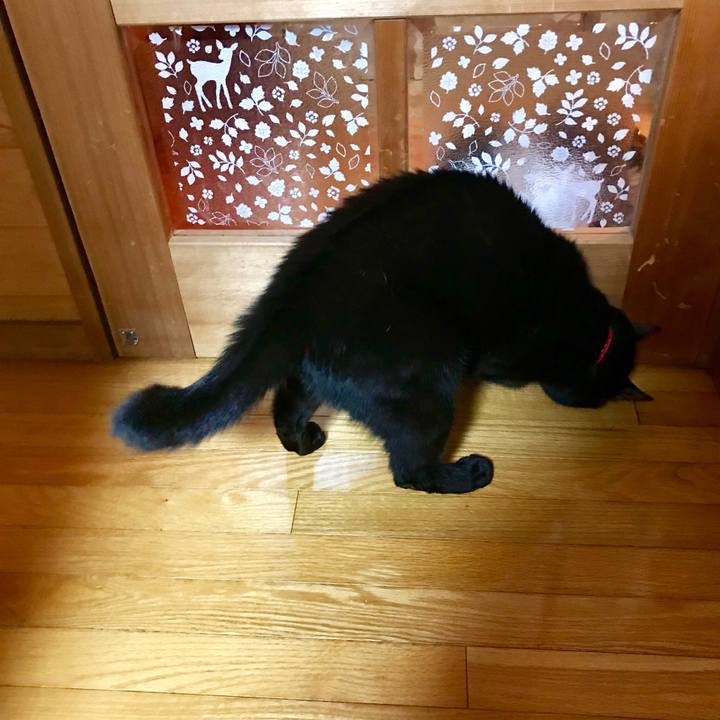 D99f111d 2c30 404b ab14 e475bbc61982 1521455216047