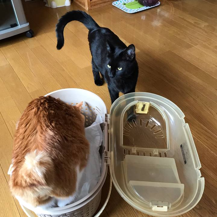 D99f358f 9c16 4fe3 b2ab 9d5a18fa0e1e 1578449259160