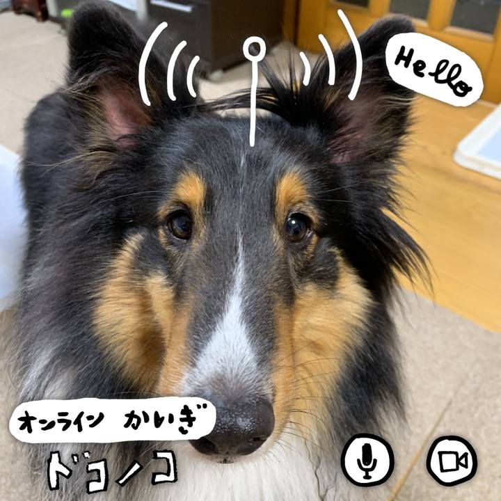 D99f4a8b 1f6e 4485 ac73 d86c75a3fc24 1590749849750