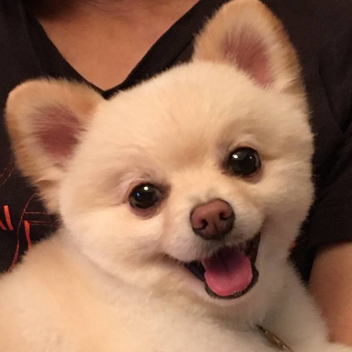 D99f70f1 90df 4d9d a5a5 c29bb4af8615 1595162538529