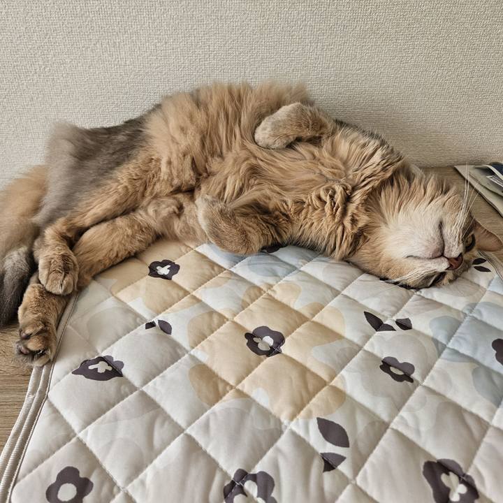 D99fb508 86fd 461d 9a1a 9232c0a71564 1720516427989