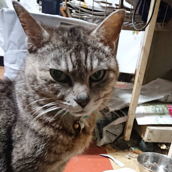 D99fd879 9548 4fb2 b5bf e8b58445067d 1561492328090