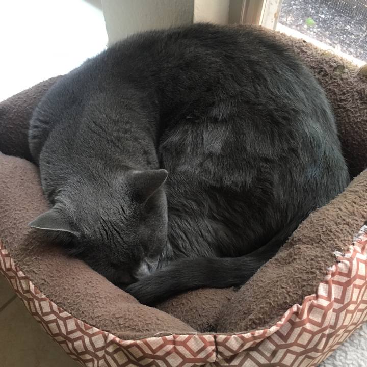 D99fff6d 95e3 4840 809c 3d188b70c246 1663025592899