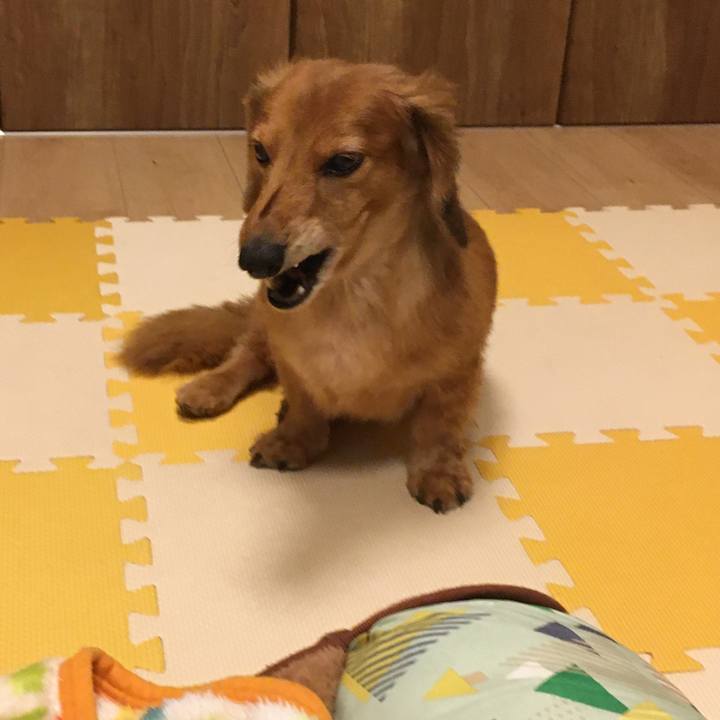 D9a00690 2c86 4af9 96bd 5db9dd8ba8b5 1580218550596