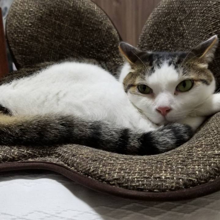 D9a02138 9919 464a 9ea4 fb5329f610e2 1558174012148