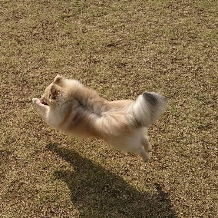 D9a030ec 19b2 484d a382 175586f16952 1523446114677