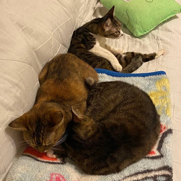 D9a03722 9b8a 43c5 88b5 21e97c15504b 1603720139564