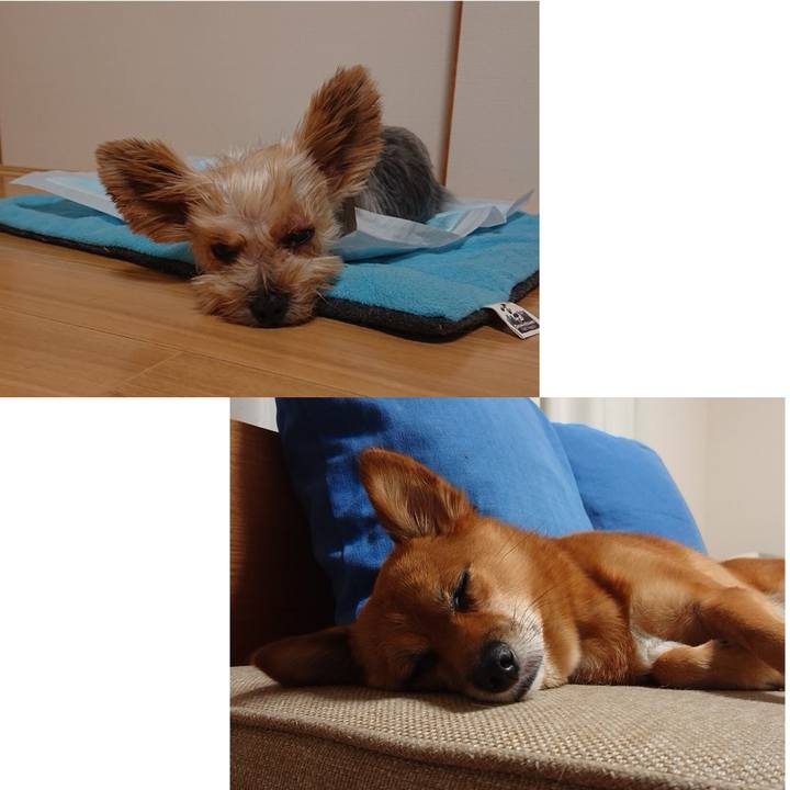 D9a03ee3 e47f 45b5 a746 66bd3693c3b1 1570104616232