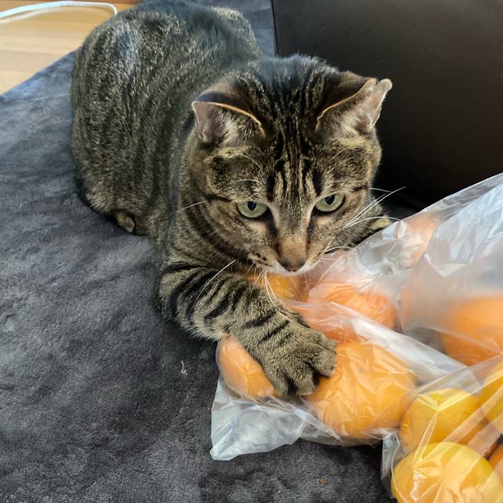 D9a0443d b93e 4d03 9c92 15a659f473d1 1635430685384