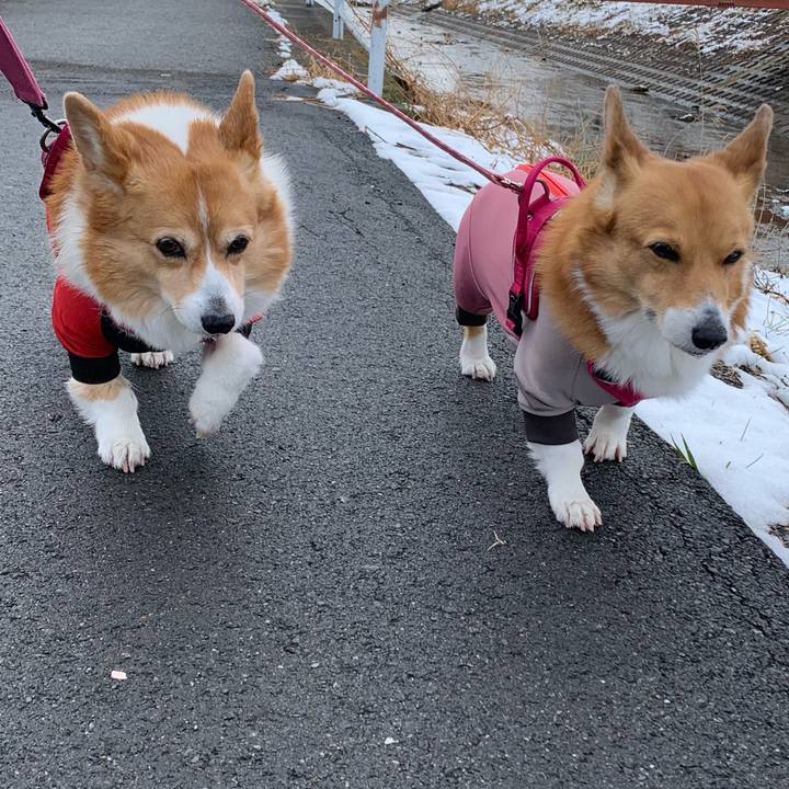 D9a05390 5fdf 4911 8273 92af5f26bf5f 1707194862389