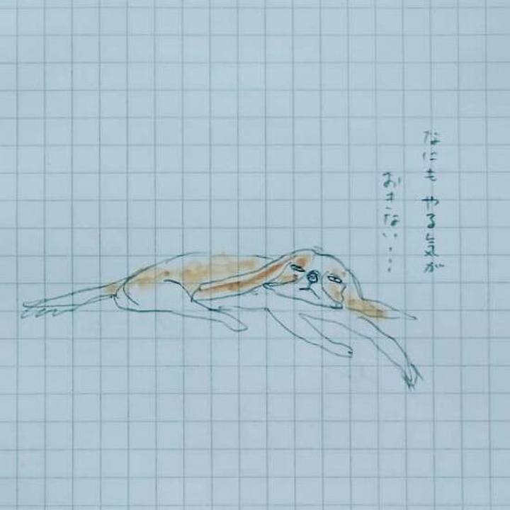 D9a05a32 d69c 4e72 81d5 2112bd0f6e28 1561109505782