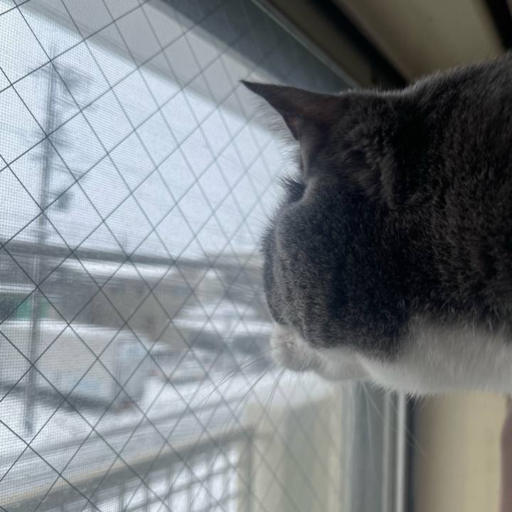 D9a0a4ff f377 4b92 97c8 b981bf31dc8d 1671841368027