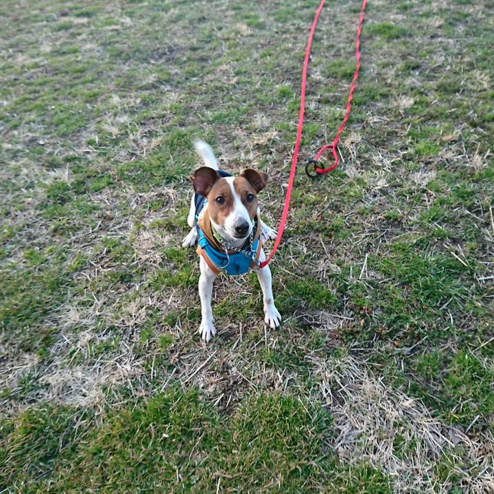 D9a0ef42 09f3 4f53 8a32 eba098ece98a 1551433385257