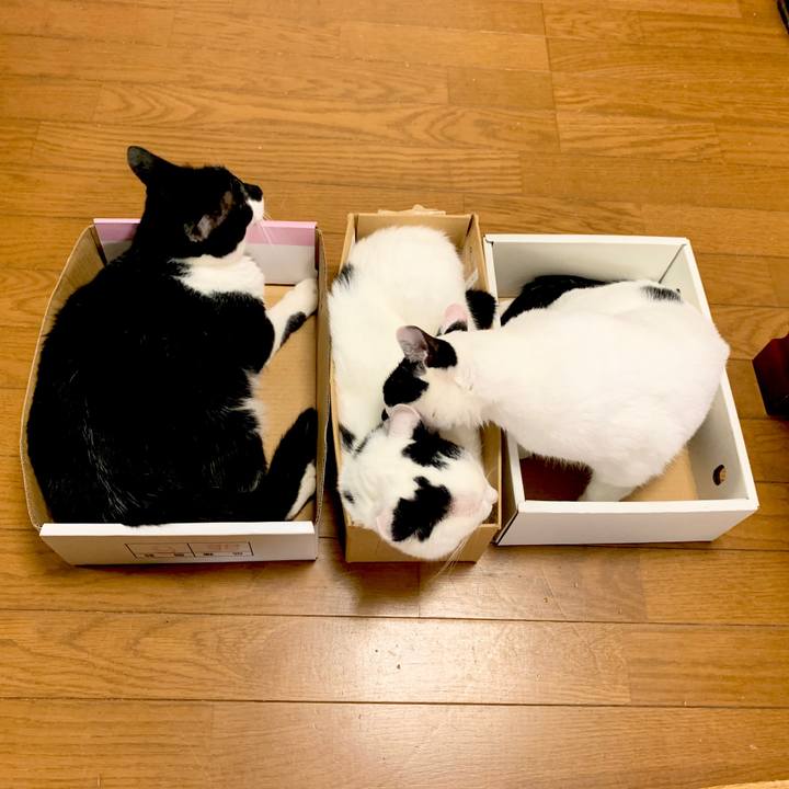 D9a0f245 5fd2 4e6e 98d3 70ef8ff6f9d0 1596175119806