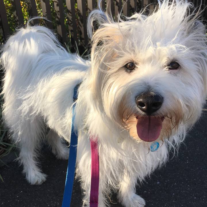 D9a105c7 b9b7 4e91 92e3 33e5f102cb70 1573628334854