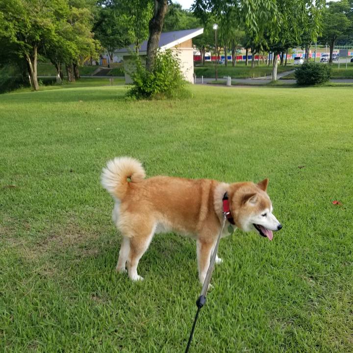 D9a111a6 72c1 4b5a 87ff df4d1753ee82 1720340850455