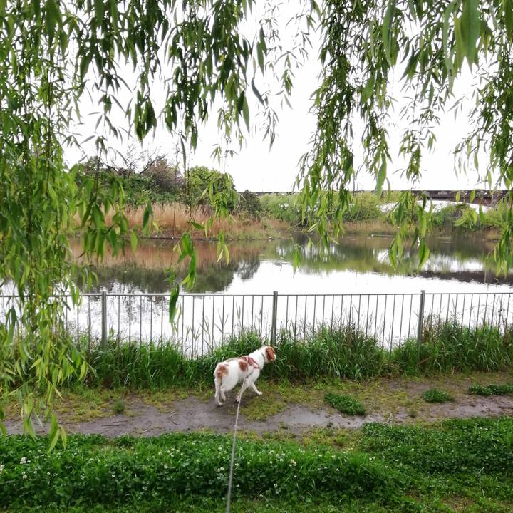 D9a144a2 e6ed 49d5 82f5 aa09916f9bb0 1618363351177