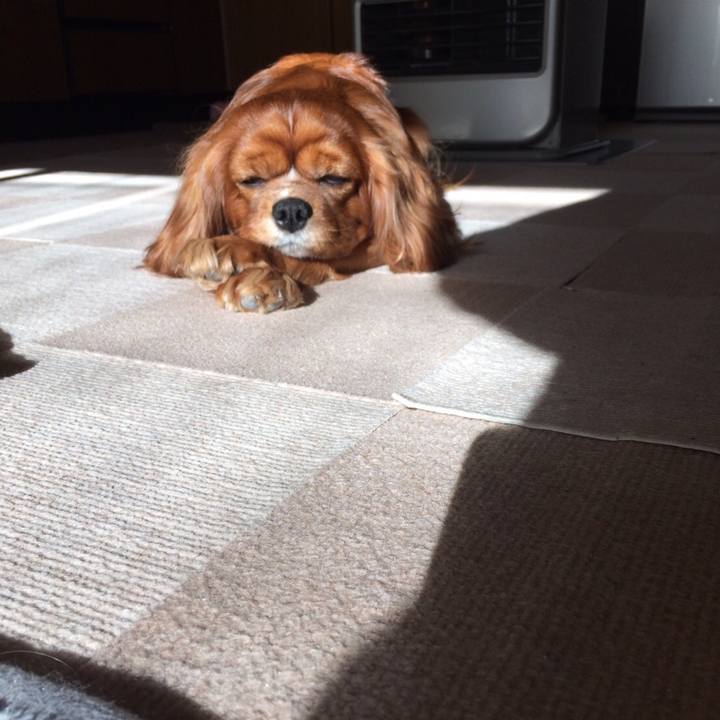 D9a15910 4472 45fd aa9a 98ed92ef4713 1605016650023