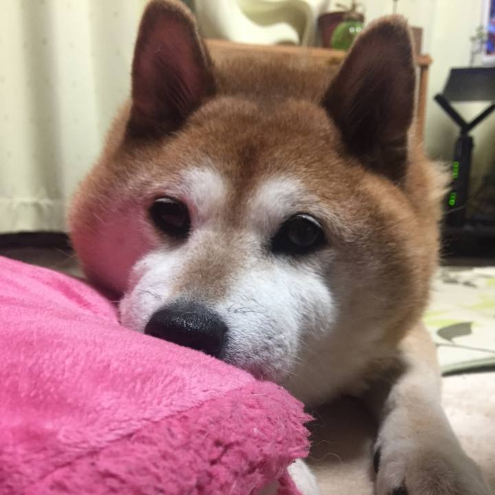 D9a16898 9887 4bde a905 a9f075d2c154 1525790371389