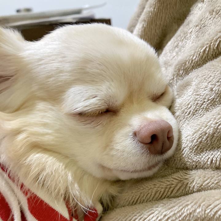 D9a1a93e 8da7 41ad 9d4a 5a61246e8c4a 1678919552243