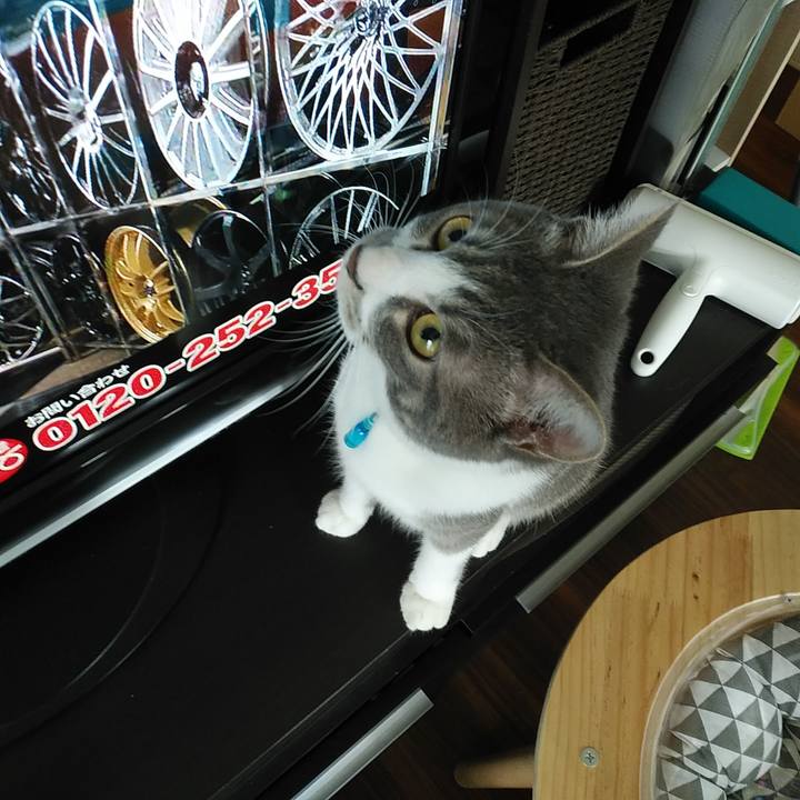 D9a1b290 bfa7 4ac0 b703 bb85d2ae26c1 1585349741750