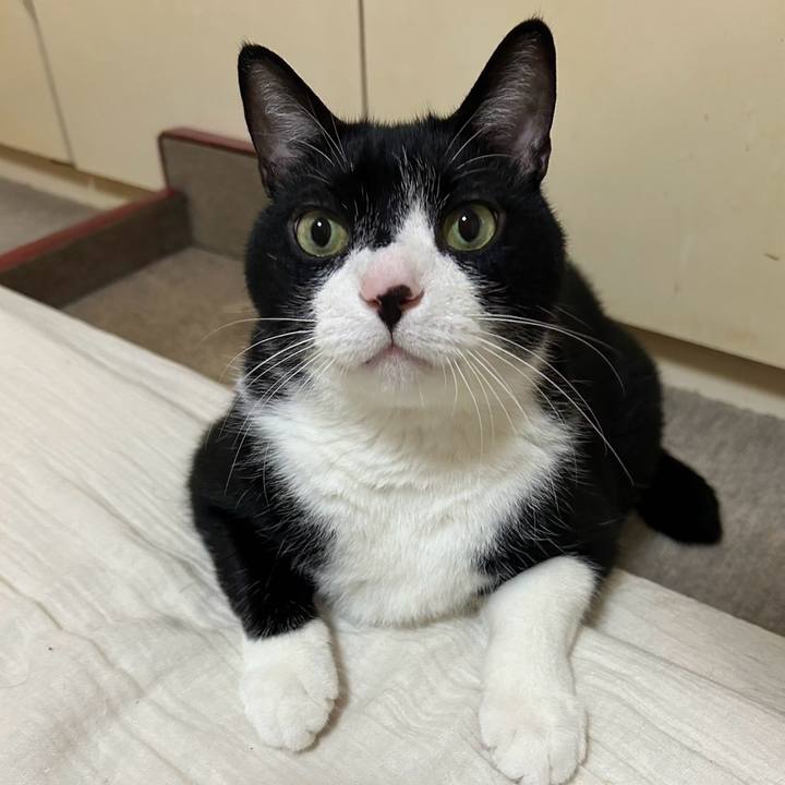 D9a1b300 3c33 42ca b2ee b67d723d5202 1720140152612