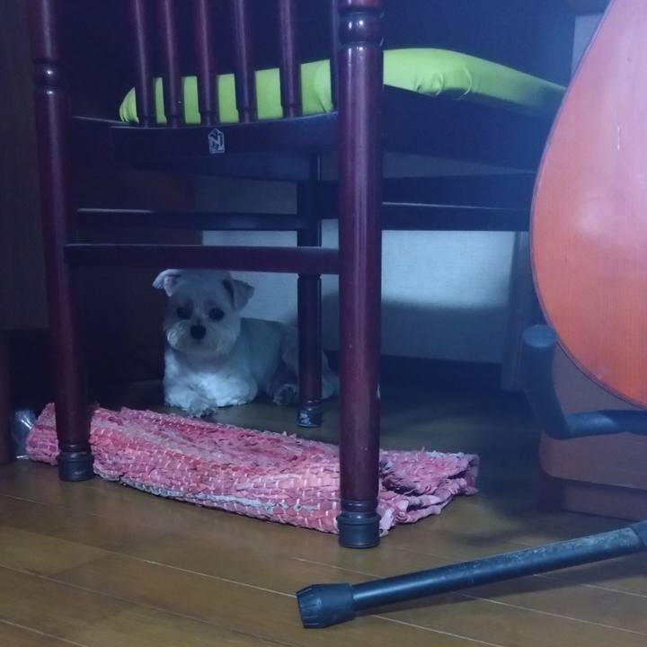 D9a1dc8e 1142 4a87 9e43 362606d86cbe 1690890713084