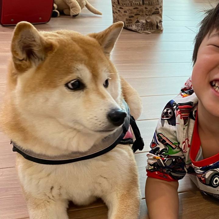 D9a223a3 2030 44d7 8eb4 fd34b2dc7b6e 1648908964247